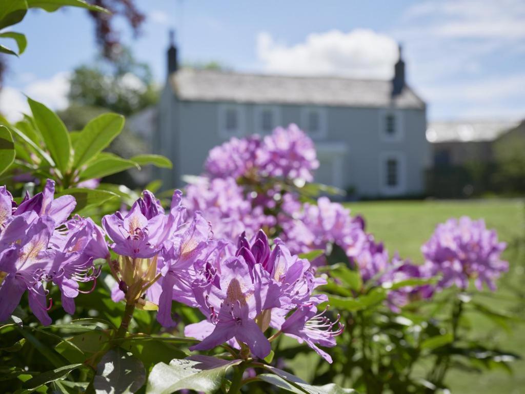5 Bed In Loweswater Sz424 Lorton Exterior foto
